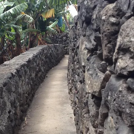 Levadinha - Nature بيت للعطل Madalena do Mar