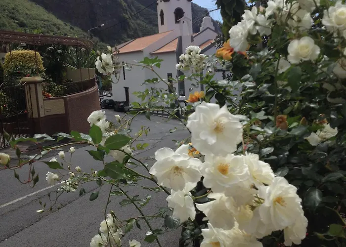 Tatil Evi Levadinha - Nature Madalena do Mar
