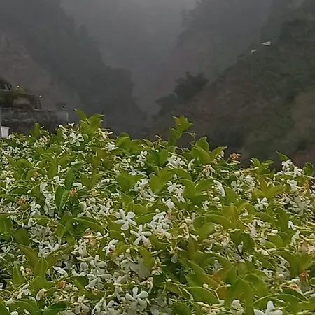 Levadinha - Nature Madalena do Mar