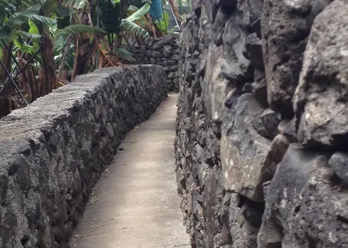 Levadinha - Nature Сasa de vacaciones Madalena do Mar